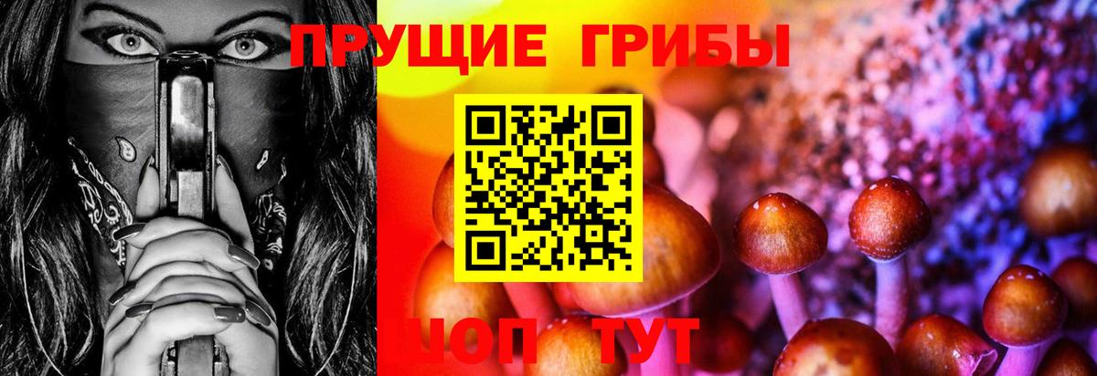 Галлюциногенные грибы ЛСД Донской